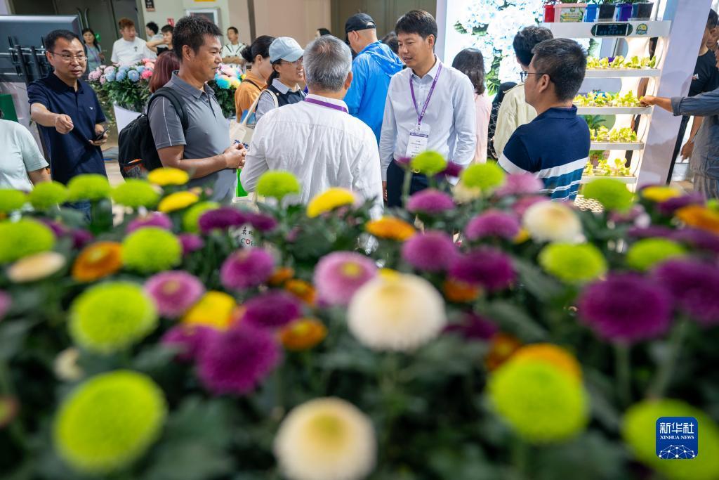 白菜娱乐平台在线